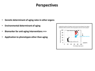 Genetic regulation of human brain aging | PDF