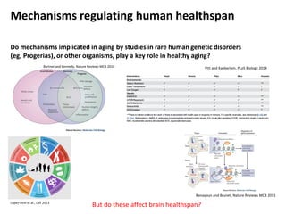 Genetic regulation of human brain aging | PDF