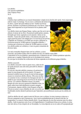 Les abelles
Uns insectes treballadors
Joan Triperez Pérez
2n A

Abella
L'abella (Apis mellifera) és un insecte himenòpter volador de la família dels àpids. Està emparentat
amb la vespa i la formiga. Viu en ruscs i s'alimenta del nèctar de
les flors, a partir del qual elabora la mel. També recol·lecta
pol·len, destinat a la producció d'aliment per a les larves. Juga un
paper molt important en la pol·linització de les plantes amb
flors.
Les abelles tenen una llengua llarga, o glosa, que fan servir per a
obtenir el nèctar de les flors. Posseeixen també petites antenes,
formades per tretze segments en els mascles i dotze en les
femelles. Tenen dos parells d'ales, el de darrere més petit. El
segon parell de potes està adaptat per a la recol·lecció de pol·len,
i l'apèndix de l'estómac es un fibló que usa per a defensar-se.
Existeixen prop de 16.000 espècies conegudes d'abelles, i
s'estima que existeixen al voltant de 30.000 espècies en total.
Les abelles poden ser solitàries o viure en grans comunitats de
diversos tipus.

Les més avançades d'aquest tipus són les colònies, o ruscs
eusocials, que podem trobar entre les abelles de mel i les abelles sense fibló.
L'apicultura és la cria d'abelles, generalment per a l'obtenció de mel i d'altres productes apícoles,
encara que a vegades l'objectiu pot ser la fecundació de conreus.
Es creu que la socialitat ha evolucionat de forma separada en els diferents grups d'abelles.

Abelles eusocials
Les abelles eusocials viuen en grans ruscs, cada una de
les quals posseeix una sola reina junt amb les obreres i
els abellots.
El cicle de vida dels abellots comença a la primavera,
quant la reina desperta de la hivernació. En aquest
moment la abella reina es la que fa tota la feina perque
encara no existeixen abelles obreres. Ella cerca un lloc
on construir el niu i construeix les bresques de mel. Es
també la que s'encarrega de la recol·lecció de nèctar i el
pol·len. Les colònies d'abellots moren a la tardor,
després de criar una nova generació d'abellots reina, els
quals sobreviuen individualment en punts amagats.
Curiosament, algunes abelles reina busquen refugi de
l'hivern en arnes o ruscs d'abelles de mel, on sovint son
localitzades mortes durant la primavera per l'apicultor, presumiblement mortes per les abelles de
mel.

Amb les abelles de mel, supervivents de l'hivern com a colònia, la reina comença a desovar a
l'hivern, preparant-se per la primavera. Això s'activa probablement per la duració del dia i la
temperatura. La reina és l'única femella fèrtil, i la que diposita els ous d'on naixeran totes les altres
abelles. Amb excepcions com el seu vol d'aparellament o l'establiment d'una nova colònia, la reina
mai més deixa el rusc desprès de ser fecundada. La reina diposita un ou en cada cel·la preparada per
 