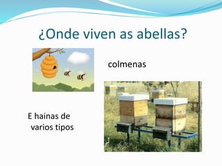 ¿Onde viven as abellas?
colmenas
E hainas de
varios tipos
 