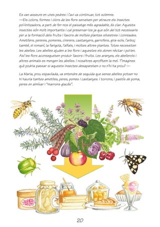 Es van asseure en unes pedres i l’avi va continuar, tot solemne.
—Els colors, formes i olors de les flors serveixen per atraure els insectes
pol·linitzadors, a part de fer-nos el paisatge més agradable, és clar. Aquests
insectes són molt importants i cal preservar-los ja que són del tot necessaris
per a la formació dels fruits i llavors de moltes plantes silvestres i conreades.
Ametllers, pereres, pomeres, cirerers, castanyers, garrofers, gira-sols, l’arboç
també, el romaní, la farigola, l’alfals, i moltes altres plantes. Totes necessiten
les abelles. Les abelles ajuden a les flors i aquestes els donen nèctar i pol·len.
Així les flors aconsegueixen produir llavors i fruits. Les aranyes, els abellerols i
altres animals es mengen les abelles. I nosaltres aprofitem la mel. T’imagines
què podria passar si aquests insectes desapareixen o no n’hi ha prou? —

La Maria, prou espavilada, va entendre de seguida que sense abelles potser no
hi hauria tantes ametlles, peres, pomes i castanyes. I torrons, i pastís de poma,
peres en almívar i “marrons glacés”.




                                        20
 