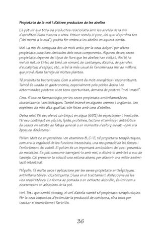 Propietats de la mel i d’altres productes de les abelles

Es pot dir que tots els productes relacionats amb les abelles de la mel
s’aprofiten d’una manera o altra. Potser només el porc, del qual s’aprofita tot
(“del morro a la cua”), podria fer ombra a les abelles en aquest sentit.

Mel. La mel és coneguda des de molt antic per la seva dolçor i per altres
propietats curatives derivades dels seus components. Algunes de les seves
propietats depenen del tipus de flors que les abelles han visitat. Així hi ha
mel de naf, de til·ler, de timó, de romaní, de castanyer, d’alzina, de garrofer,
d’eucaliptus, d’espígol, etc., si bé la més usual és l’anomenada mel de milflors,
que prové d’una barreja de moltes plantes.

Té propietats bactericides. Com a aliment és molt energètica i reconstituent.
També és usada en gastronomia, especialment pels pobles àrabs i en
determinades postres: si en tens oportunitat, demana de postres “mel i mató”.

Cera. S’usa en farmacologia per les seves propietats antiinflamatòries,
cicatritzants i antibiòtiques. També intervé en algunes cremes i ungüents. Les
espelmes de més alta qualitat són fetes amb cera d’abelles.

Gelea reial. Pel seu elevat contingut en aigua (68%) és especialment inestable.
Pel seu contingut en glúcids, lípids, proteïnes, factors vitamínics i antibiòtics
és usada en estats de fatiga general o en moments d’esforç elevat –com ara
èpoques d’exàmens!-

Pol·len. Molt ric en proteïnes i en vitamines B, C i E, té propietats terapèutiques,
com ara la regulació de les funcions intestinals, una recuperació de les forces i
l’enfortiment del cabell. El pol·len és un important antioxidant del cos i preventiu
de malalties. Es pot consumir barrejant-lo amb mel, o diluint-lo amb llet o suc de
taronja. Cal preparar la solució una estona abans, per afavorir una millor assimi-
lació intestinal.

Pròpolis. Té molts usos i aplicacions per les seves propietats antisèptiques,
antiinflamatòries i cicatritzants. S’usa en el tractament d’infeccions de les
vies respiratòries. En forma de pomada o en extracte alcohòlic, és útil com a
cicatritzant en afeccions de la pell.

Verí. Tot i que sembli estrany, el verí d’abella també té propietats terapèutiques.
Per la seva capacitat d’estimular la producció de cortisona, s’ha usat per
tractar el reumatisme i l’artritis.




                                       36
 