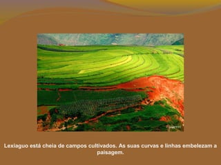 Lexiaguo está cheia de campos cultivados. As suas curvas e linhas embelezam a
paisagem.
 