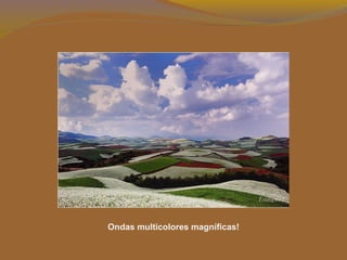 Ondas multicolores magníficas!
 