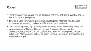 Swampy Rope Abel Olajide Olorunnisola_Utilization of rattan resources in Africa | PDF