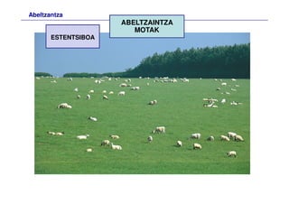 Abeltzantza
ABELTZAINTZA
MOTAK
ESTENTSIBOA
 