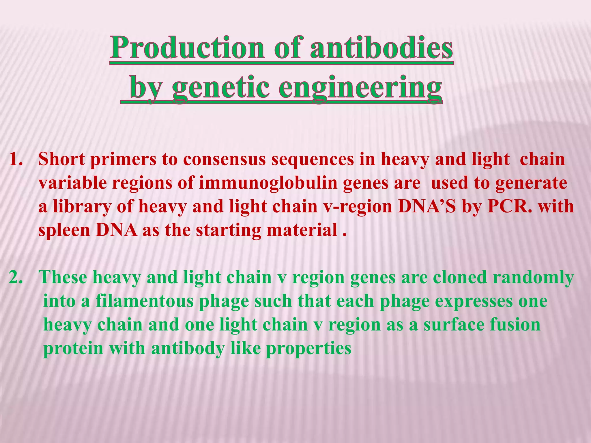 1. Short primers to consensus sequences in heavy and light chain
variable regions of immunoglobulin genes are used to generate
a library of heavy and light chain v-region DNA’S by PCR. with
spleen DNA as the starting material .
2. These heavy and light chain v region genes are cloned randomly
into a filamentous phage such that each phage expresses one
heavy chain and one light chain v region as a surface fusion
protein with antibody like properties
 