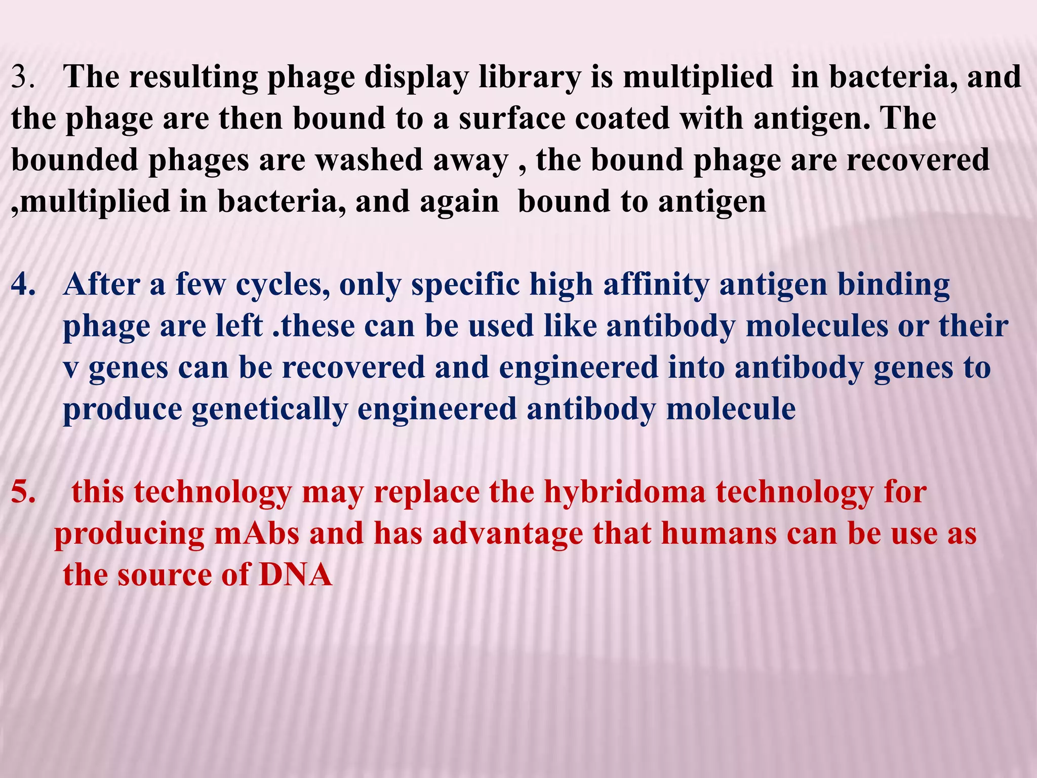 3. The resulting phage display library is multiplied in bacteria, and
the phage are then bound to a surface coated with antigen. The
bounded phages are washed away , the bound phage are recovered
,multiplied in bacteria, and again bound to antigen
4. After a few cycles, only specific high affinity antigen binding
phage are left .these can be used like antibody molecules or their
v genes can be recovered and engineered into antibody genes to
produce genetically engineered antibody molecule
5. this technology may replace the hybridoma technology for
producing mAbs and has advantage that humans can be use as
the source of DNA
 