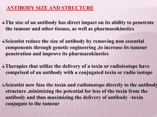 ANTIBODY SIZE AND STRUCTURE
The size of an antibody has direct impact on its ability to penetrate
the tumour and other tissues, as well as pharmacokinetics
Scientist reduce the size of antibody by removing non essential
components through genetic engineering ,to increase its tumour
penetration and improve its pharmacokinetics
Therapies that utilize the delivery of a toxin or radioisotope have
comprised of an antibody with a conjugated toxin or radio isotope
Scientist now fuse the toxin and radioisotope directly to the antibody
structure ,minimizing the potential for loss of the toxin from the
antibody and thus maximizing the delivery of antibody –toxin
conjugate to the tumour
 