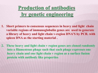 1. Short primers to consensus sequences in heavy and light chain
variable regions of immunoglobulin genes are used to generate
a library of heavy and light chain v-region DNA’S by PCR. with
spleen DNA as the starting material .
2. These heavy and light chain v region genes are cloned randomly
into a filamentous phage such that each phage expresses one
heavy chain and one light chain v region as a surface fusion
protein with antibody like properties
 