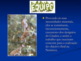 Provendo às suas necessidades materiais, eles se constituem, inconscientemente, executores dos desígnios do Criador, e assim o trabalho que executam concorre para a realização do objetivo final na Natureza. 