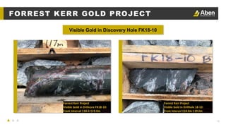 18
Visible Gold in Discovery Hole FK18-10
FORREST KERR GOLD PROJECT
 