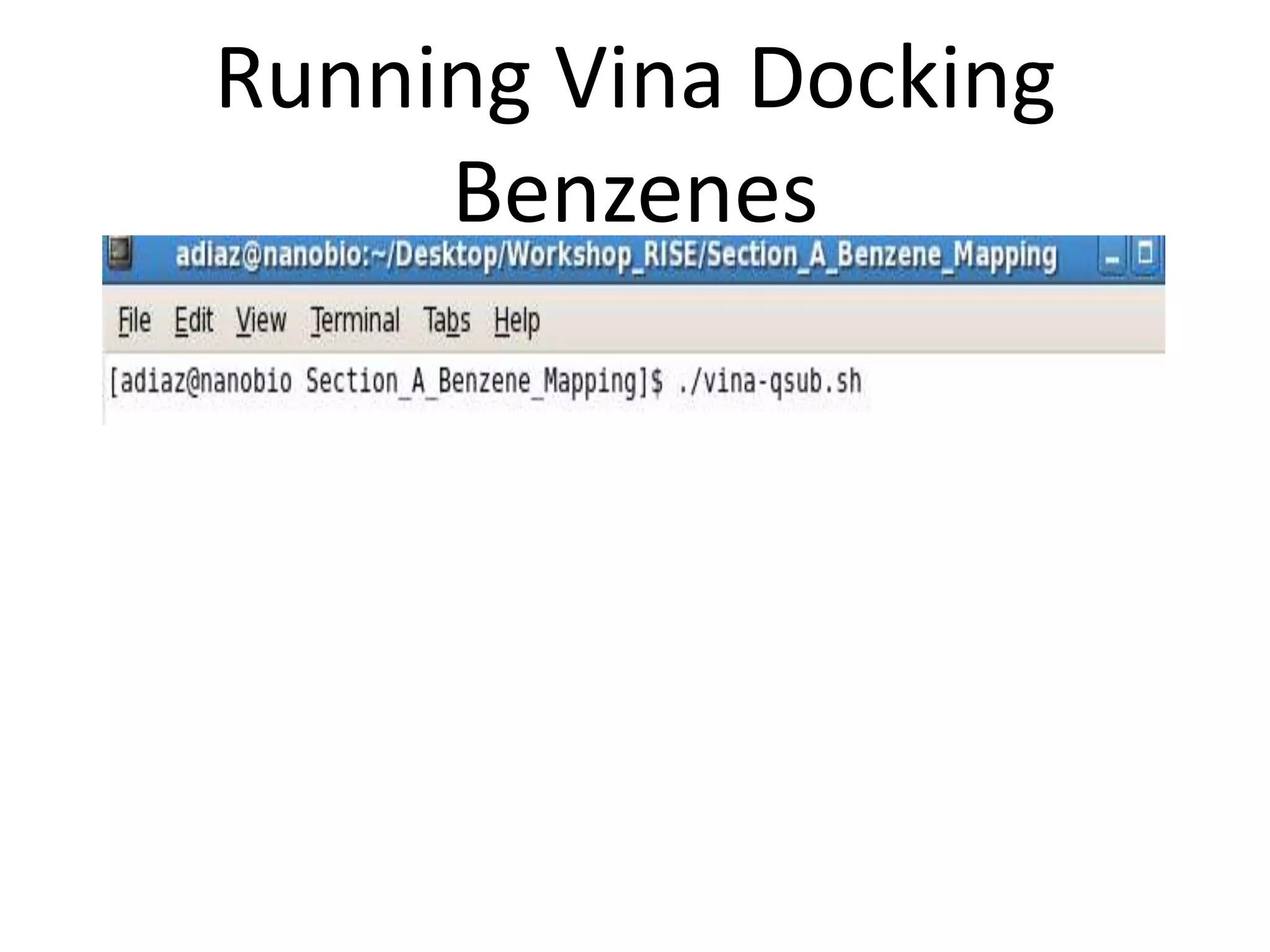 Running Vina Docking
     Benzenes
 