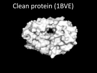 Clean protein (1BVE)
 