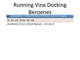 Running Vina Docking
     Benzenes
 