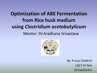 Optimization of ABE Fermentation
from Rice husk medium
using Clostridium acetobutylicum
Mentor: Dr.Aradhana Srivastava
By: Pranav Dadhich
USCT-IV Year
03116101411
 