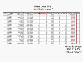 What  do these  SOILCLASS  values mean? What  does this  attribute mean? 