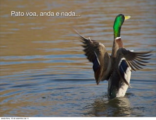 Pato voa, anda e nada...




sexta-feira, 16 de setembro de 11
 