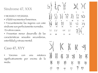 Síndrome 47, XXX 48,XXXX Y 49,XXXXX 1/1200 nacimientos femeninos. Frecuentemente las mujeres con este síndrome son perfectamente normales.  En otros casos:  Presentan menor desarrollo de las características sexuales secundarias, esterilidad y retraso mental.  Caso 47, XYY Varones con una estatura significativamente por encima de la media. 