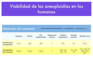 Viabilidad de las aneuploidías en los humanos 0 6-8 20 40 Gestación (en semanas) Esperma Oocito Pre-implantación Abortos pre-clinicos Abortos espontáneos Nacidos muertos Nacidos vivos Incidencia de aneuploidías 1-2 % -20% -20% ? 35% 4% 0.3% Aneuploidías más comunes Varias Varias Varias ? 45,X; +16 +21;  +22 +13;  +18; +21 +13;  +18; +21 XXX; XXY; XYY  