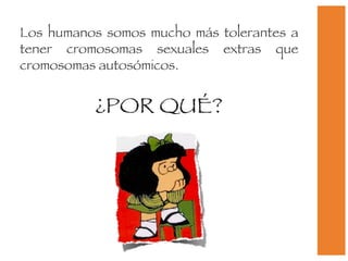 Los humanos somos mucho más tolerantes a tener cromosomas sexuales extras que cromosomas autosómicos. ¿POR QUÉ? 