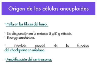 Origen de las células aneuploides  Falla en las fibras del huso.  No disyunción en la meiosis (I y II) y mitosis. Rezago anafásico. Pérdida parcial de la función  del checkpoint en anafase.  Amplificación del centrosoma . 