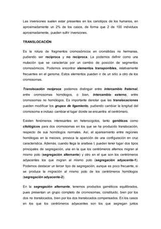 Las inversiones suelen estar presentes en los cariotipos de los humanos, en 
aproximadamente un 2% de los casos, de forma que 2 de 100 individuos 
aproximadamente, pueden sufrir inversiones. 
TRANSLOCACIÓN 
Es la rotura de fragmentos cromosómicos en cromátidas no hermanas, 
pudiendo ser recíproca y no recíproca. La podemos definir como una 
mutación que se caracteriza por un cambio de posición de segmentos 
cromosómicos. Podemos encontrar elementos transponibles, relativamente 
frecuentes en el genoma. Estos elementos pueden ir de un sitio a otro de los 
cromosomas. 
Translocación recíproca: podemos distinguir entre intercambio fraternal, 
entre cromosomas homólogos, o bien, intercambio externo, entre 
cromosomas no homólogos. Es importante denotar que las translocaciones 
pueden modificar los grupos de ligamiento, pudiendo cambiar la longitud del 
cromosoma e incluso cambiar el lugar donde se encuentra el centrómero. 
Existen fenómenos interesantes en heterocigotos, tanto genéticos como 
citológicos para dos cromosomas en los que se ha producido translocación, 
respecto de sus homólogos normales. Así, el apareamiento entre regiones 
homólogas en la meiosis, provoca la aparición de una configuración en cruz 
característica. Además, cuando llega la anafase I, pueden tener lugar dos tipos 
principales de segregación, una en la que los centrómeros alternos migran al 
mismo polo (segregación alternante) y otro en el que son los centrómeros 
adyacentes los que migran al mismo polo (segregación adyacente-1). 
Podemos destacar un tercer tipo de segregación, aunque es poco frecuente, si 
se produce la migración al mismo polo de los centrómeros homólogos 
(segregación adyacente-2). 
En la segregación alternante, tenemos productos gaméticos equilibrados, 
pues presentan un grupo completo de cromosomas, constituido, bien por los 
dos no translocados, bien por los dos translocados compensados. En los casos 
en los que los centrómeros adyacentes son los que segregan juntos 
 