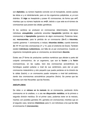 son diploides, su número haploide coincide con el monoploide, siendo usadas 
las letras x y n indistintamente; pero en los organismos poliploides, x y n son 
distintos. El trigo es hexaploide y posee 42 cromosomas, de forma que x=7, 
mientras que su número haploide es n=21, debido a que este es el número de 
cromosomas que poseen las células gaméticas. 
Si los cambios se producen en cromosomas determinados, tendremos 
individuos aneuploides, pudiendo encontrar hipoploidía (pérdida de algún 
cromosoma) e hiperploidía (ganancia de algún cromosoma). Podemos tener, 
así, monosomías, para la pérdida de un cromosoma (2n-1) o trisomías, 
cuando ganamos 1 cromosoma; e incluso, trisomías dobles, cuando tenemos 
2n +1 +1 (con tres cromosomas 21 y 14, para el síndrome de Down). También 
existen individuos nulisómicos, con falta de un par cromosómico. Cuando un 
organismo monoploide gana un cromosoma, se denominará disomía. 
Existe una 2ª forma de producirse cambios numéricos que afectan a parte del 
conjunto cromosómico, de un organismo, que son la fusión y la fisión 
cromosómicas, en las cuales, bien dos cromosomas acrocéntricos no 
homólogos pueden juntarse a nivel de sus centrómero, para dar un gran 
cromosoma metacéntrico y otro pequeño que puede perderse en la división de 
la célula (fusión); o un cromosoma puede romperse a nivel del centrómero, 
dando dos cromosomas acrocéntricos pequeños (fisión). Se piensa que las 
fusiones son más frecuentes que las fisiones. 
ANEUPLOIDIA 
Se debe a un retraso en la meiosis de un cromosoma, perdiendo dicho 
cromosoma en la anafase, o a una no disyunción meiótica, en la primera o 
segunda división meiótica. En el primer caso, podemos tener en la meiosis, 
machos con posibles gametos XX, gametos sin cromosomas; mientras que en 
el segundo caso, tenemos trisómicos para X, con individuos a los que les falta 
el cromosoma X (monosomía). 
 