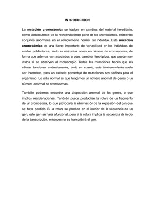 INTRODUCCION 
La mutación cromosómica se traduce en cambios del material hereditario, 
como consecuencia de la reordenación de parte de los cromosomas, existiendo 
conjuntos anormales en el complemento normal del individuo. Esta mutación 
cromosómica es una fuente importante de variabilidad en los individuos de 
ciertas poblaciones, tanto en estructura como en número de cromosomas, de 
forma que además van asociados a otros cambios fenotípicos, que pueden ser 
vistos si se observan al microscopio. Todas las mutaciones hacen que las 
células funcionen anómalamente, tanto en cuanto, este funcionamiento suele 
ser incorrecto, pues un elevado porcentaje de mutaciones son dañinas para el 
organismo. Lo más normal es que tengamos un número anormal de genes o un 
número anormal de cromosomas. 
También podemos encontrar una disposición anormal de los genes, lo que 
implica reordenaciones. También puede producirse la rotura de un fragmento 
de un cromosoma, lo que provocará la eliminación de la expresión del gen que 
se haya perdido. Si la rotura se produce en el interior de la secuencia de un 
gen, este gen se hará afuncional, pero si la rotura implica la secuencia de inicio 
de la transcripción, entonces no se transcribirá el gen. 
 