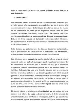 tanto, la consecuencia de la rotura del puente dicéntrico es una deleción y 
una duplicación. 
3. DELECIONES 
Las deleciones pueden producirse gracias a dos mecanismos principales, por 
un lado, gracias a la superposición cromosómica, que se da gracias a la 
recombinación entre regiones de homólogos. Encontramos rotura a dos niveles 
de los cromosomas, de forma que los fragmentos pueden unirse de forma 
diferente, produciendo deleciones y duplicaciones. Otra fuente de deleciones 
son las recombinaciones a consecuencia de desigual entrecruzamiento. 
Esta, es otra forma asociada a la duplicación, pudiéndose producir deleciones. 
La recombinación se da entre regiones homólogas presentes en un cromosoma 
con la misma orientación. 
Cabe destacar que podemos tener dos tipos de deleciones, las terminales, 
que se producen con una única rotura en el cromosoma y las intersticiales, 
que se producen cuando en el cromosoma se producen dos roturas. 
Las deleciones en un homocigoto (que los dos homólogos tengan la misma 
deleción), suelen ser letales, lo que sugiere que la mayoría de las regiones de 
los cromosomas son esenciales para la viabilidad celular, y que la eliminación 
completa de cualquier segmento del genoma, resulta ser deletérea. Incluso los 
individuos heterocigotos para una deleción (aquellos con un cromosoma 
normal y el homólogo portador de una deleción), pueden morir, debido a que el 
genoma se ha ido adaptando a finalmente durante la evolución para conseguir 
un equilibrio entre la mayoría de los genes, y la presencia de una deleción 
puede perturbar el equilibrio. En general, un 1% del genoma delecionado, no 
suele ser letal, pero además, en los heterocigotos con una única copia 
normal, podremos observar fenotipos anormales. 
El ejemplo clásico es el síndrome del cri-du-chat, que se produce por una 
deleción en el extremo del brazo corto del cromosoma 5º de los humanos. Es 
una enfermedad que se manifiesta en heterocigosis, de forma que los síntomas 
son microcefalia, y grave retardo mental, además de llorar de forma semejante 
 