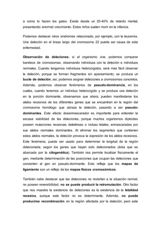 a como lo hacen los gatos. Existe desde un 20-40% de retardo mental, 
presentando anormal crecimiento. Estos niños suelen morir en la infancia. 
Podemos destacar otros síndromes relacionado, por ejemplo, con la leucemia. 
Una deleción en el brazo largo del cromosoma 22 puede ser causa de esta 
enfermedad. 
Observación de deleciones; si el organismo vive, podemos comparar 
bandeos de cromosomas, observando individuos con la deleción e individuos 
normales. Cuando tengamos individuos heterocigotos, será más fácil observar 
la deleción, porque se forman fragmentos sin apareamiento; se produce un 
bucle de deleción, así, podemos asignar deleciones a cromosomas concretos. 
Además, podemos observar fenómenos de pseudo-dominancia, en los 
cuales, cuando tenemos un individuo heterocigoto y se produce una deleción 
en la porción dominante, observamos que ahora, pueden manifestarse los 
alelos recesivos de los diferentes genes que se encuentran en la región del 
cromosoma homólogo que abraza la deleción, pasando a ser pseudo-dominantes. 
Este efecto desenmascarador es importante para entender la 
escasa viabilidad de las deleciones, porque muchos organismos diploides 
poseen mutaciones recesivas deletéreas o incluso letales, enmascaradas por 
sus alelos normales dominantes. Al eliminar los segmentos que contienen 
estos alelos normales, la deleción provoca la expresión de los alelos recesivos. 
Este fenómeno, puede ser usado para determinar la longitud de la región 
delecionada, según los genes que hayan sido delecionados (área que es 
abarcada por la citogenética). También nos permite localizar físicamente el 
gen, mediante determinación de las posiciones que ocupan las deleciones que 
convierten al gen en pseudo-dominante. Esto refleja que los mapas de 
ligamiento son un reflejo de los mapas físicos cromosómicos. 
También cabe destacar que las deleciones no revierten a la situación normal, 
no poseen reversibilidad, no se puede producir la retromutación. Otro factor 
que nos muestra la existencia de deleciones es la existencia de la letalidad 
recesiva, aunque este factor no es determinante. Además, no puede 
producirse recombinación en la región afectada por la deleción, pero este 
 