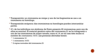  Transposición: un cromosoma se rompe y uno de los fragmentos se une a un
cromosoma no homólogo.
 Transposición recíproca: dos cromosomas no homólogos pueden intercambiar
partes.
 4% de los individuos con síndrome de Down presenta 46 cromosomas, pero uno de
ellos es anormal. El material genético extra del cromosoma 21 se ha transpuesto a
uno de los cromosomas de mayor tamaño, como el 14. en tal caso éste recibe el
nombre de cromosoma 14/21. Las personas afectadas tienen:
 1 cromosoma 14
 1 cromosoma 14/21
 2 copias normales del cromosoma 21
 