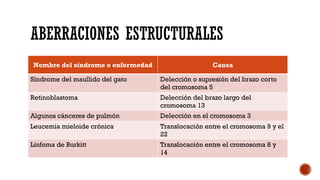 ABERRACIONES ESTRUCTURALES
Nombre del síndrome o enfermedad Causa
Síndrome del maullido del gato Delección o supresión del brazo corto
del cromosoma 5
Retinoblastoma Delección del brazo largo del
cromosoma 13
Algunos cánceres de pulmón Delección en el cromosoma 3
Leucemia mieloide crónica Translocación entre el cromosoma 9 y el
22
Linfoma de Burkitt Translocación entre el cromosoma 8 y
14
 
