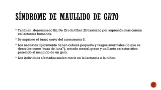 SÍNDROME DE MAULLIDO DE GATO
 Tambien denominado Sx. De Cri du Chat .El trastorno por supresión más común
en lactantes humanos.
 Se suprime el brazo corto del cromosoma 5.
 Los neonatos típicamente tienen cabeza pequeña y rasgos anormales (lo que se
describe como “cara de luna”), retardo mental grave y un llanto característico
parecido al maullido de un gato.
 Los individuos afectados suelen morir en la lactancia o la niñez.
 