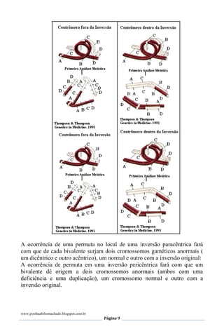 www.poethaabiliomachado.blogspot.com.br
Página 9
A ocorrência de uma permuta no local de uma inversão paracêntrica fará
com que de cada bivalente surjam dois cromossomos gaméticos anormais (
um dicêntrico e outro acêntrico), um normal e outro com a inversão original:
A ocorrência de permuta em uma inversão pericêntrica fará com que um
bivalente dê origem a dois cromossomos anormais (ambos com uma
deficiência e uma duplicação), um cromossomo normal e outro com a
inversão original.
 