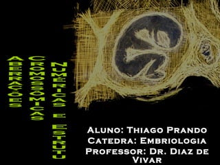 Aluno: Thiago Prando Catedra: Embriologia Professor: Dr. Diaz de Vivar Aberrações Cromossômicas Numéricas e Estruturais  