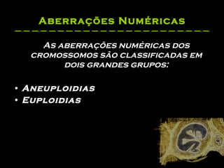 Aberrações Numéricas As aberrações numéricas dos cromossomos são classificadas em dois grandes grupos: Aneuploidias Euploidias 