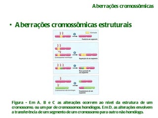 Aberrações cromossômicas Aberrações cromossômicas estruturais   Figura - Em A, B e C as alterações ocorrem ao nível da estrutura de um cromossomo, ou um par de cromossomos homólogos. Em D, as alterações envolvem a transferência de um segmento de um cromossomo para outro não homólogo. 