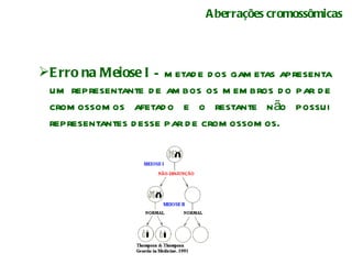 Aberrações cromossômicas Erro na Meiose I  – metade dos gametas apresenta um representante de ambos os membros do par de cromossomos afetado e o restante não possui representantes desse par de cromossomos.  