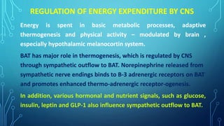 Natural Ways to Boost GLP-1 Levels - wellbeingnutrition.com