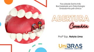 Profª Esp. Natyla Lima
Faculdade Santa Inês
Bacharelado em Odontologia
Endodontia pré-clínica
Coronária
 