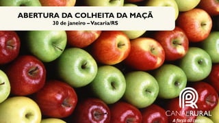 ABERTURA DA COLHEITA DA MAÇÃ
30 de janeiro –Vacaria/RS
 