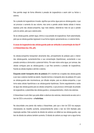 2
lhes permite reagir de forma diferente à pressão de turgescência e assim abrir ou fechar o
estoma.
Se a pressão de turgescência é levada, significa que entrou água para as células-guarda, o que
vai provocar o aumento do seu volume, mas como a parede celular destas células é menos
espessa junto das células-companhia, logo mais elástica, distende-se mais do que a parede
junto do ostíolo, pelo que o estoma abre.
Se as células-guarda, perdem água, diminui a sua pressão de turgescência, ficam plasmolisada,
pelo que as células-guardas regressam à sua forma original, aproximando-se, e o estoma fecha.
A causa da turgescência das células-guarda pode ser atribuída à concentração de iões K+
e à fotossíntese (luz, CO2, pH).
As células-companhia transportam ativamente iões, principalmente de potássio para o interior
das células-guarda, aumentando-lhes a sua concentração (hipertónicas), aumentando a sua
pressão osmótica e diminuindo o potencial hídrico. Por este motivo entra água, por osmose, das
células contíguas para as células-guarda, o que lhes aumenta a pressão de turgescência,
ficando as células túrgidas e abrindo o estoma.
Enquanto existir transporte ativo de potássio (K+) mantém-se a turgidez das células-guarda
e por isso o estoma mantém-se aberto. Quando termina o transporte ativo de potássio (K+) para
as células-guarda este movimenta-se, por difusão simples, para as células-companhia, o que
torna estas células hipertónicas e as células-guarda hipotónicas. Ocorre seguidamente a saída
de água das células-guarda para as células companhia, o que provoca a diminuição da pressão
de turgescência, a plasmólise das células-guarda e, consequentemente, o fecho dos estomas.
A fotossíntese é outro fator que pode afetar a abertura dos estomas, relacionando-se esta com o
teor de CO2 e uma enzima – a fosforilase.
Na obscuridade uma planta não realiza a fotossíntese, pelo que o teor de CO2 nos espaços
intercelulares do mesófilo aumenta, acrescentando-lhe ainda o teor de CO2 libertado pela
respiração aeróbia. Este aumento de dióxido de carbono vai refletir-se nas células-guarda, cujo
teor de dióxido de carbono também aumenta. O dióxido de carbono ao reagir com a água forma
 