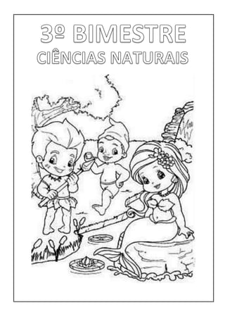 Aberturas 3ªbimestre