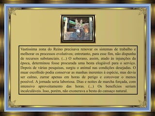 Vastíssima zona do Reino precisava renovar os sistemas de trabalho e
melhorar os processos evolutivos; entretanto, para esse fim, não dispunha
de recursos substanciais. (...) O soberano, assim, atado às injunções da
época, determinou fosse procurada uma besta elogiável para o serviço.
Depois de várias pesquisas, surgiu o animal nas condições desejadas. O
muar escolhido podia conservar as manhas inerentes à espécie, mas devia
ser calmo, zurrar apenas em horas de perigo e corcovear o menos
possível. A jornada seria laboriosa. Dias e noites de marcha forçada, com
intensivo aproveitamento das horas. (...) Os benefícios seriam
incalculáveis. Isso, porém, não exonerava a besta do cansaço natural.

 