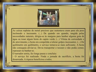 As caixas repletas de metal precioso que sustentava eram para ela peso
incômodo e incessante. (...) De quando em quando, tangida pelas
necessidades naturais, dirigia-se às margens para lamber alguma gota de
água ou tosar algum broto de capim verde; (...) Vítima da curiosidade e
do atrevimento, a besta era compelida a tolerar golpes incessantes. (...) De
quilômetro em quilômetro, o serviço tornava-se mais asfixiante. A besta
não conseguia aliviar-se. Devia transportar o tesouro e não podia comer,
repousar ou banhar-se.
O narrador sorriu, fez longa pausa e concluiu:
- O serviço foi realizado. Finda a jornada de sacrifício, a besta foi
desarreada. A riqueza beneficiou a todos.

 