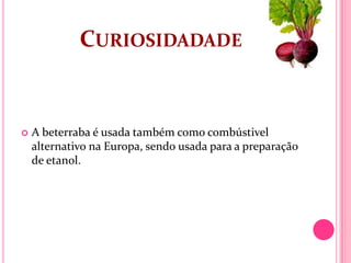 CURIOSIDADADE


   A beterraba é usada também como combústivel
    alternativo na Europa, sendo usada para a preparação
    de etanol.
 