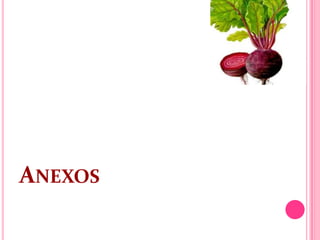 ANEXOS
 