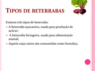 TIPOS DE BETERRABAS
Existem três tipos de beterraba:
 A beterraba açucareira, usada para produção de
  açúcar;
 A beterraba forrageira, usada para alimentação
  animal;
 Aquela cujas raízes são consumidas como hortaliça.
 