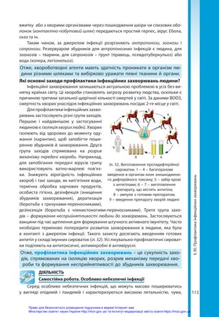 113
§
30.
Профілактика
інфекційних
захворювань
вжитку або з хворими організмами через пошкодження шкіри чи слизових обо-
лонок (контактно-побутовий шлях) передаються простий герпес, вірус Ебола,
сказ та ін.
Таким чином, за джерелом інфекції розрізняють антропонози, зоонози і
сапронози. Резервуаром збудників для антропонозних інфекцій є людина, для
зоо­
нозів – тварини, для сапронозів – ґрунт (правець, псевдотуберкульоз) або
вода (холера, легіонельоз).
Отже, хвороботворні агенти мають здатність проникати в організм лю-
дини різними шляхами та вибірково уражати певні тканини й органи.
Які основні заходи профілактики інфекційних захворювань людини?
Інфекційні захворювання залишаються актуальною проблемою в усіх без ви-
нятку країнах світу. Ці хвороби становлять загрозу розвитку людства, оскільки є
причиною третини загальної щорічної кількості смертей у світі. За даними ВООЗ,
смертність хворих унаслідок інфекційних захворювань посідає 2-ге місце у світі.
Для профілактики інфекційних захво-
рювань застосовують різні групи заходів.
Першою і найдавнішою у застосуванні
людиною є ізоляція хворих людей. Хворих
ізолюють від здорових до моменту оду-
жання (карантин), щоб запобігти поши-
ренню збудників й захворювання. Друга
група заходів спрямована на розрив
механізму передачі хвороби. Наприклад,
для запобігання передачі вірусів грипу
використовують ватно-марлеві пов’яз-
ки. Знижують вірогідність інфекційних
хвороб і такі заходи, як кип’ятіння води,
термічна обробка харчових продуктів,
особиста гігієна, дезінфекція (знищення
збудників захворювання), дератизація
(боротьба з гризунами-переносниками),
дезінсекція (боротьба з членистоногими-переносниками). Третя група захо-
дів – формування несприйнятливості людини до захворювань. Застосовуються
вакцини під час щеплення для формування штучного активного імунітету. Часто
необхідно терміново попередити розвиток захворювання в людини, яка була
в контакті з джерелом інфекції. Такого захисту досягають введенням готових
антитіл у складі імунних сироваток (іл. 52). Усі лікувально-профілактичні сироват-
ки поділяють на антитоксичні, антимікробні й антивірусні.
Отже, профілактика інфекційних захворювань – це сукупність захо-
дів, спрямованих на ізоляцію хворих, розрив механізму передачі хво-
роби та формування несприйнятливості до збудників захворювання.
	ДІЯЛЬНІСТЬ
	 Самостійна робота. Особливо небезпечні інфекції
Серед особливо небезпечних інфекцій, що можуть масово поширюватись
у вигляді епідемій і пандемій і характеризуються високою летальністю, чума,
Іл. 52. Виготовлення протидифтерійної
сироватки: 1 – 4 – багаторазове
введення в організм коня знешкоджено-
го дифтерійного токсину; 5 – забір крові
з антитілами; 6 – 7 – виготовлення
препарату, що містить антитіла;
8 – ампули з готовим препаратом;
9 – введення препарату хворій людині
1
2 3
4
5
6
7
8
9
Право для безоплатного розміщення підручника в мережі Інтернет має
Міністерство освіти і науки України http://mon.gov.ua/ та Інститут модернізації змісту освіти https://imzo.gov.ua
 